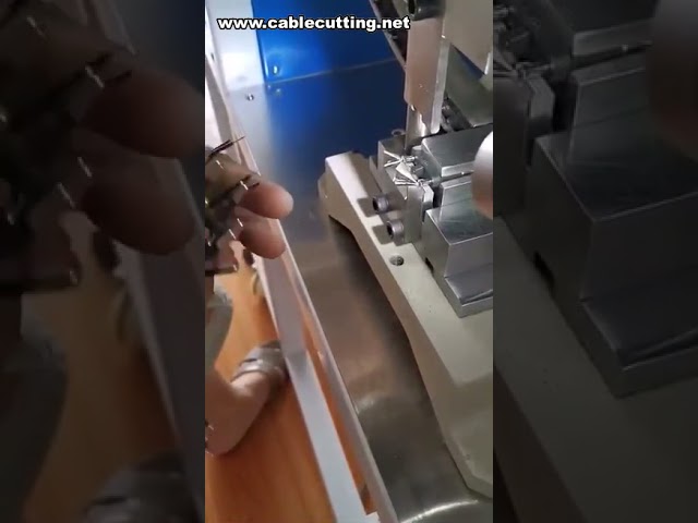 Semi-Automatic 2-Pin Insert Plug Crimping Machine for EU Plugs